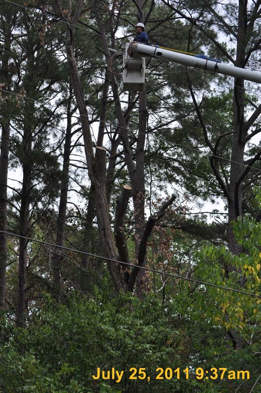 Entergy 091
